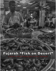 United Arab Emirates, Fujarach, Fish Market